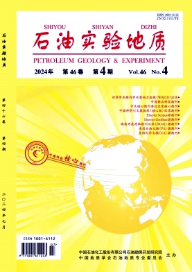 石油实验地质封面